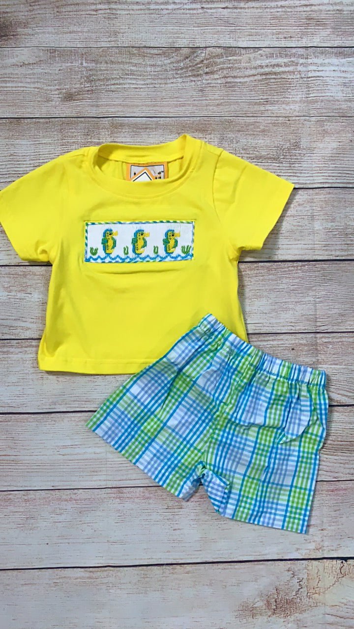 Seahorse set