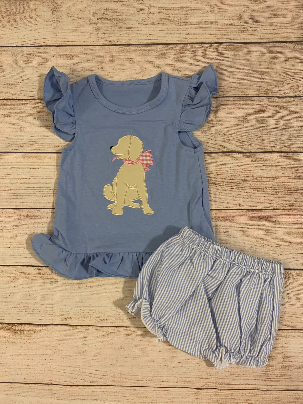 Girl Puppy diaper set