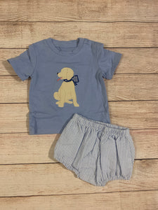 Puppy diaper set