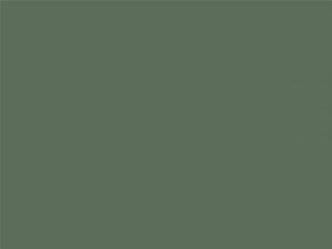 Olive green truffle